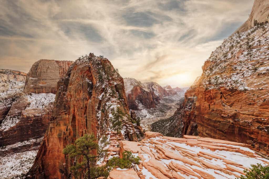 Zion in winter