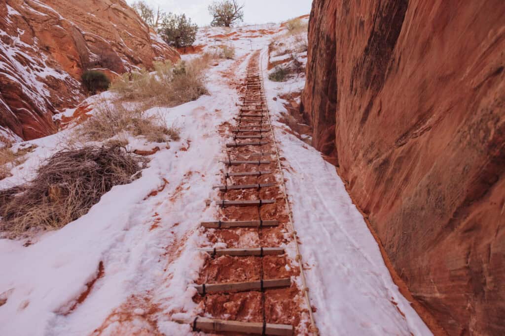 Cardiac Canyon in January