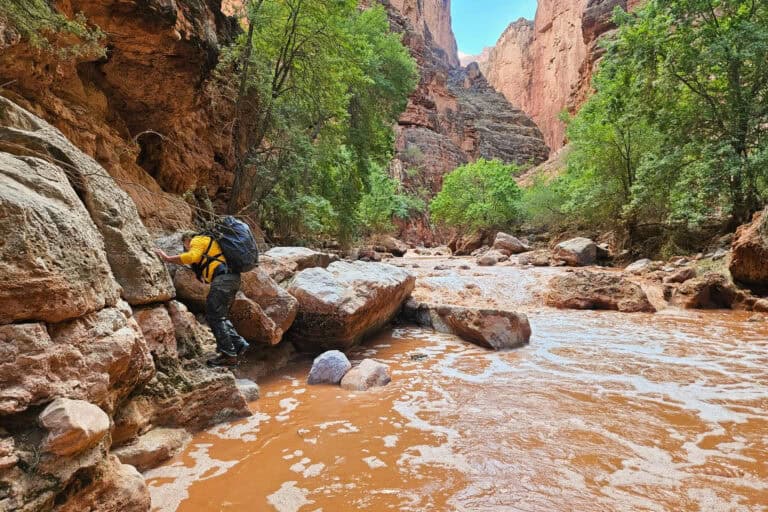 Search and rescue teams looking for a woman swept away by a flash flood at Havasupai Falls