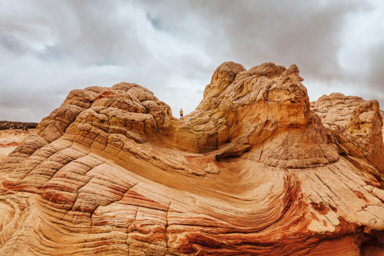 White Pocket, AZ