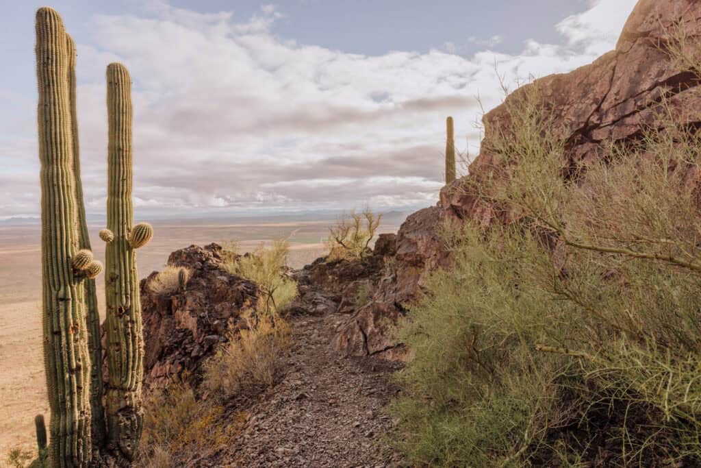 Picacho Peak hiking trail