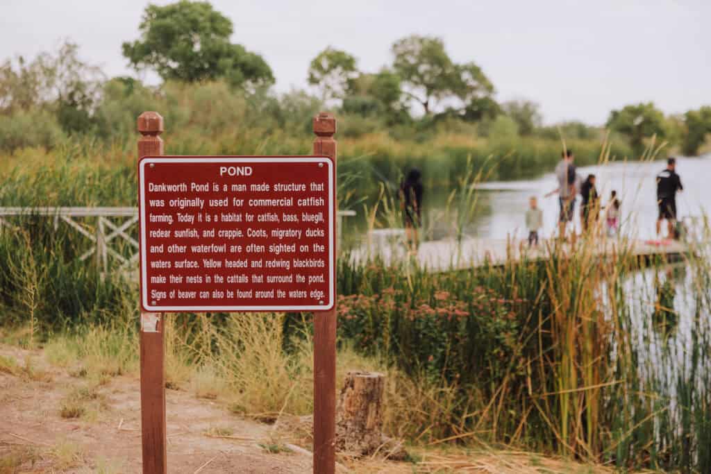 Dankworth Pond, AZ