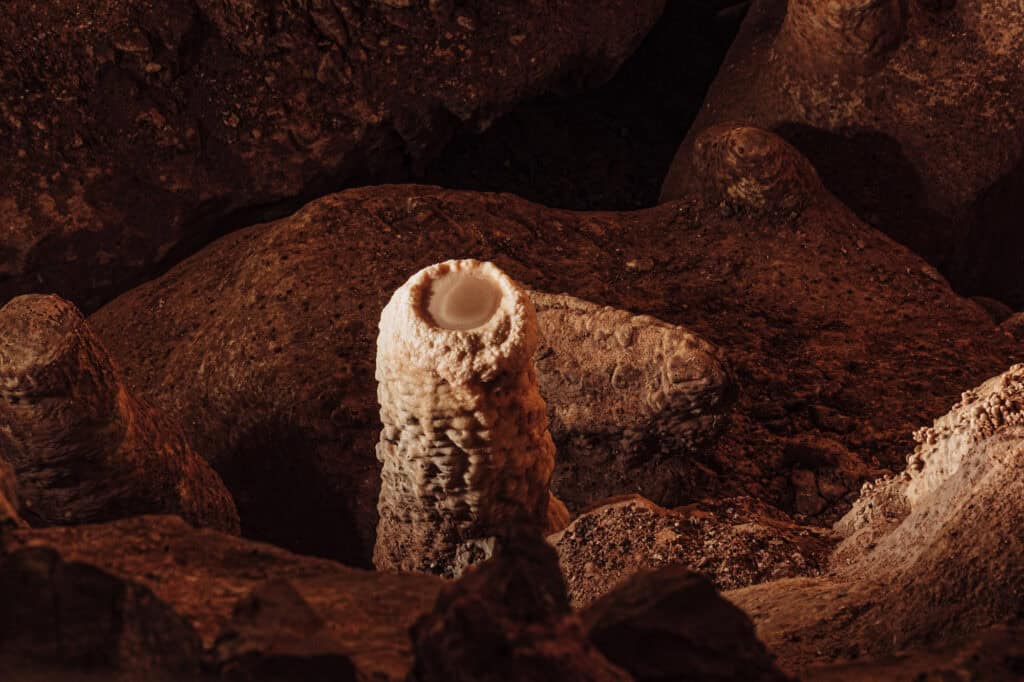 Egg yolk formation at Kartchner Caverns