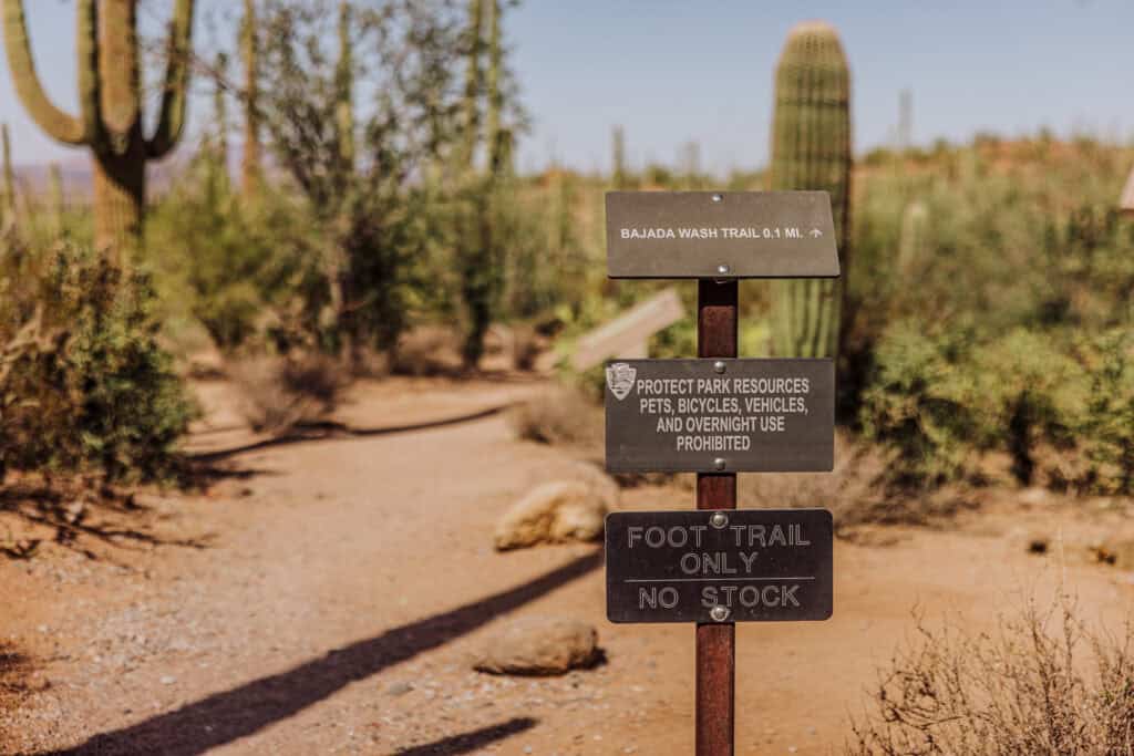 Trailhead at Saguaro National Park