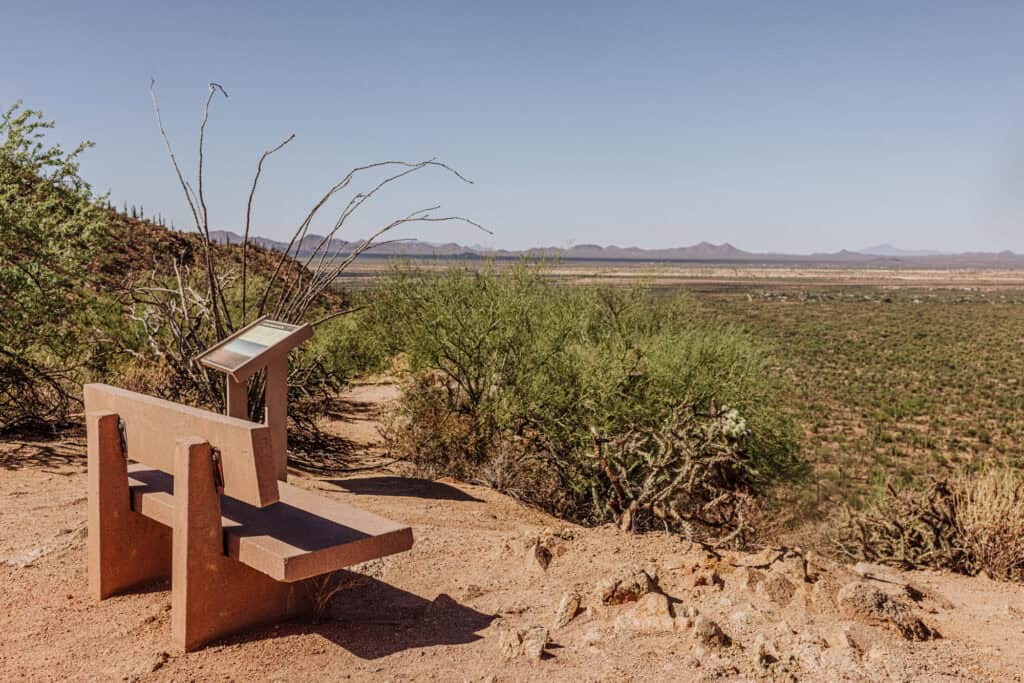 A hiking trail at Saguaro National Park