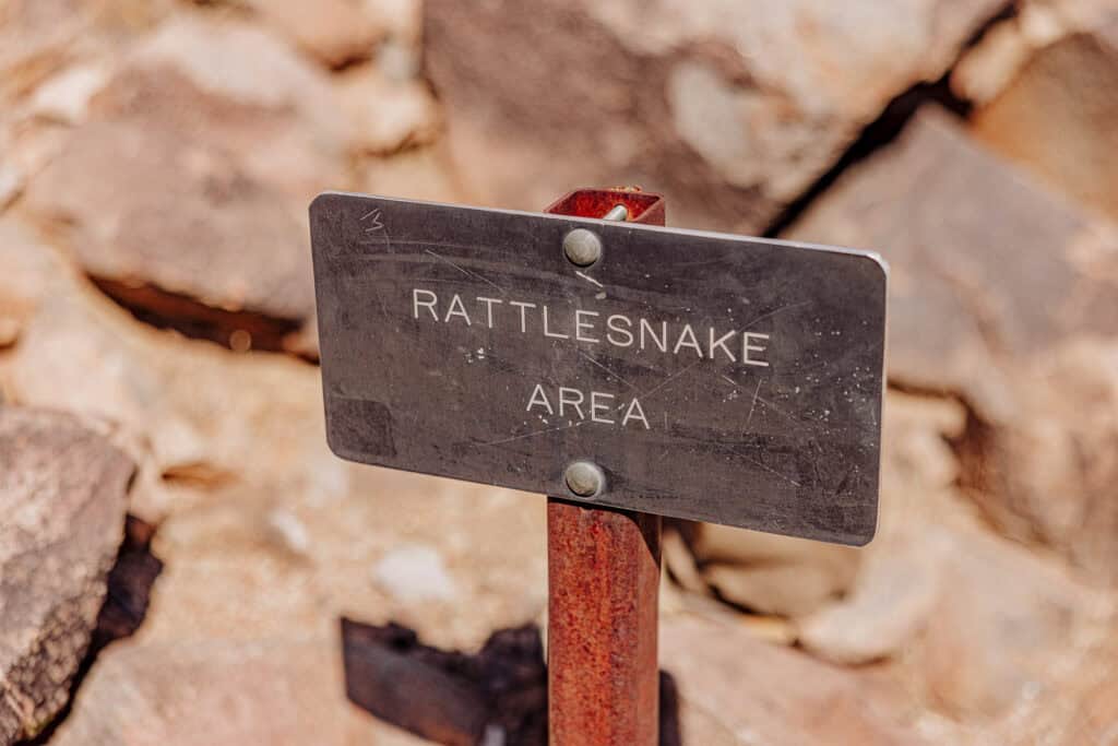 rattlesnake warning sign in Arizona