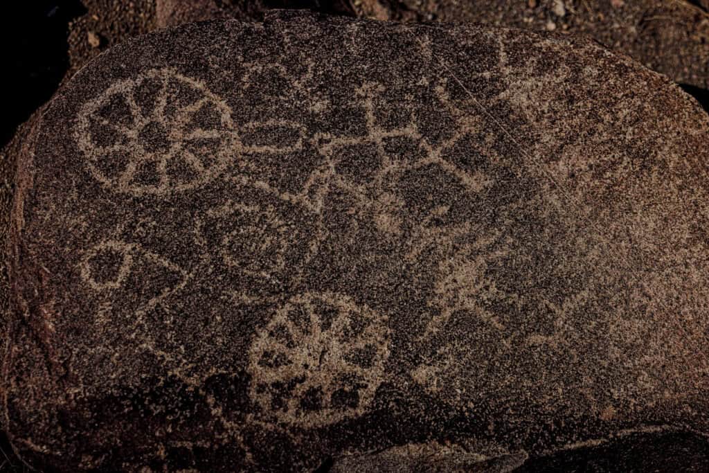 Petroglyphs at Saguaro National Park in Arizona