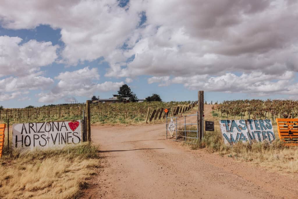 Hops & Vines in Sonoita, AZ