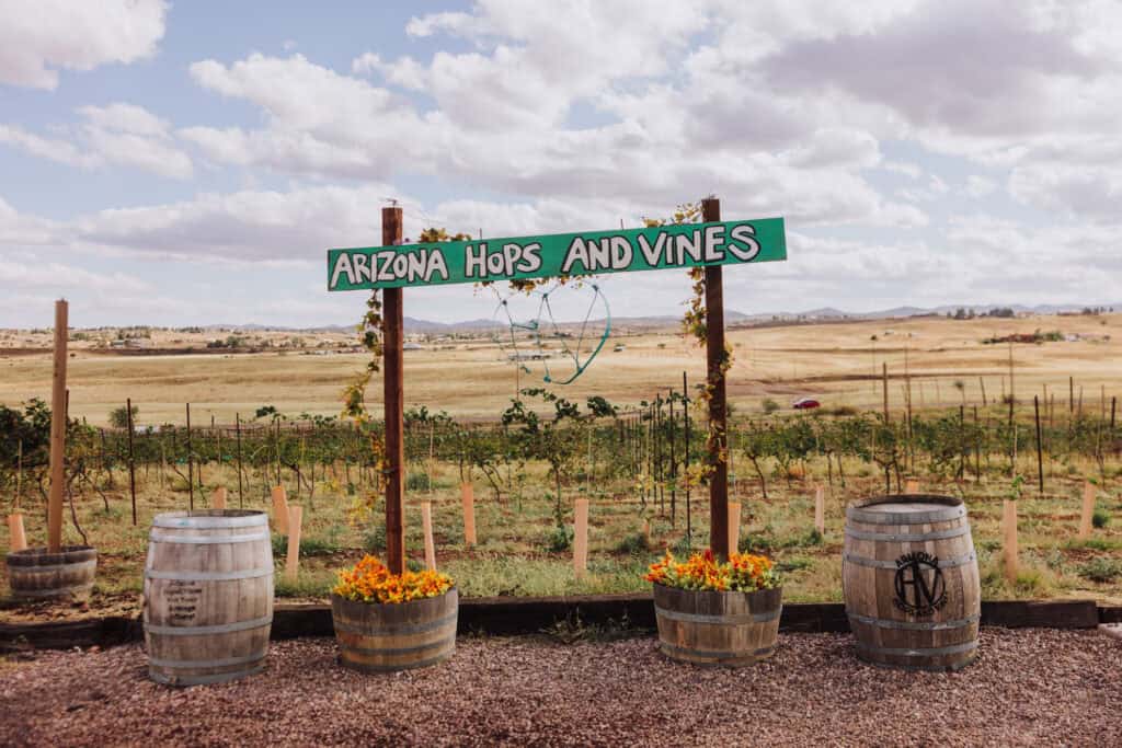 The view from Hops & Vines in Sonoita, AZ