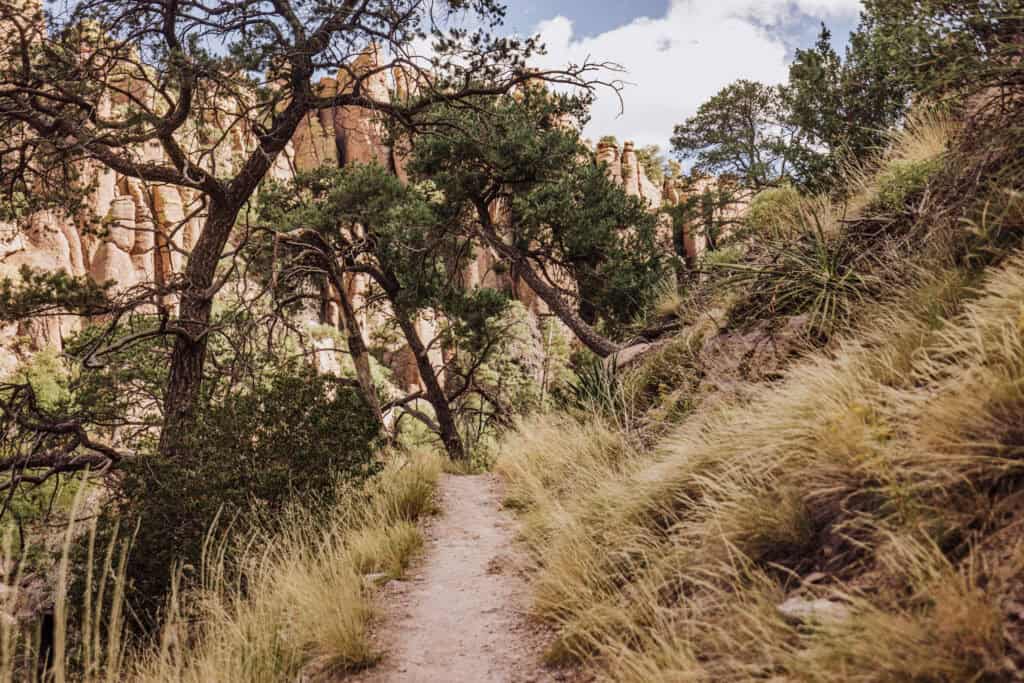 A hiking trail at Chiricahua