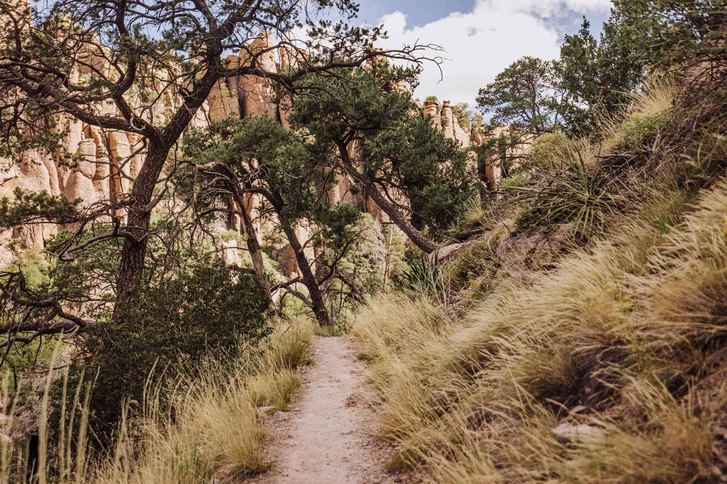 A hiking trail at Chiricahua