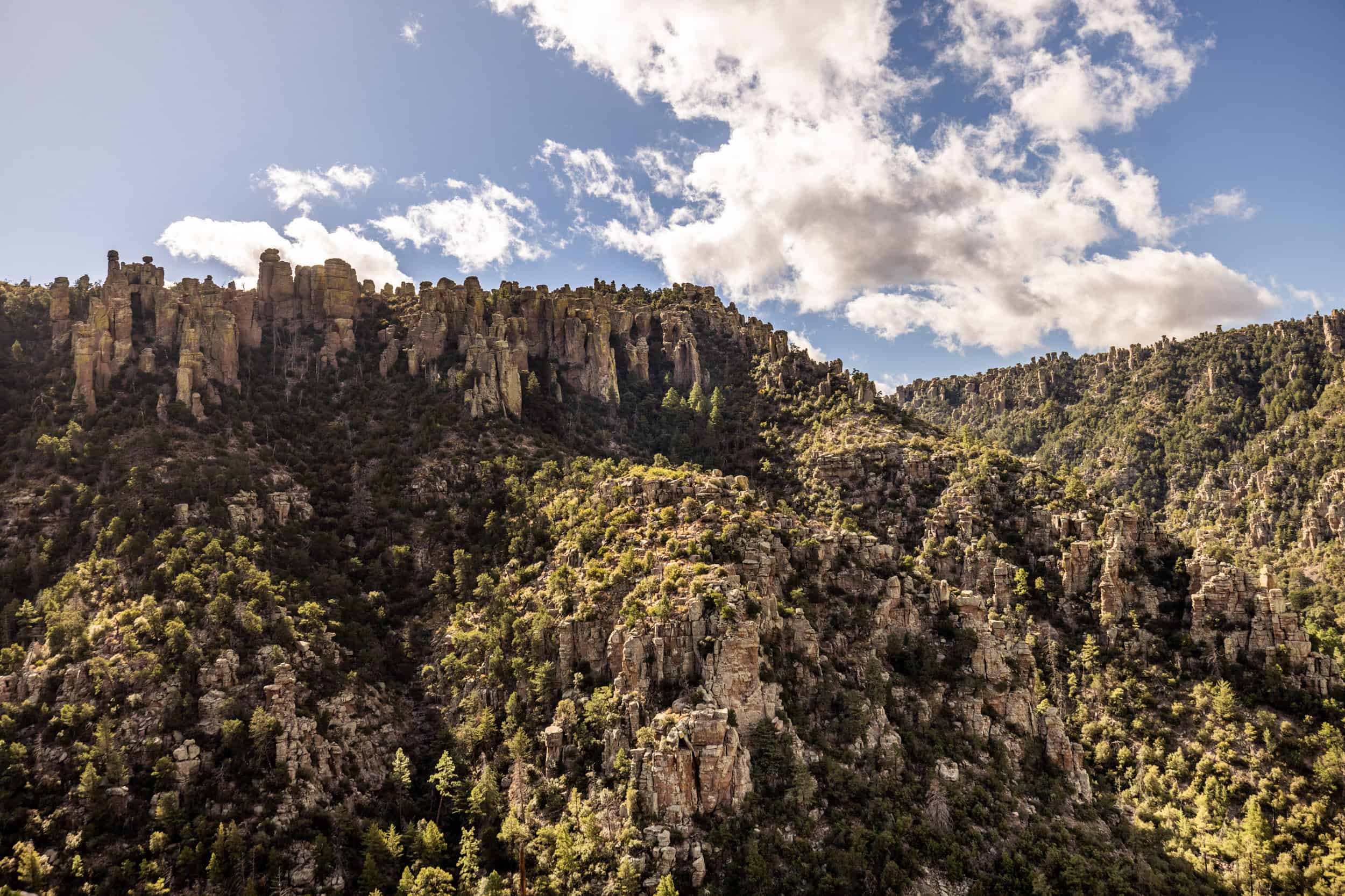 Chiricahua Mountains