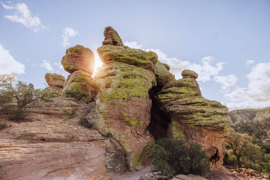 A sunny day at Chiricahua