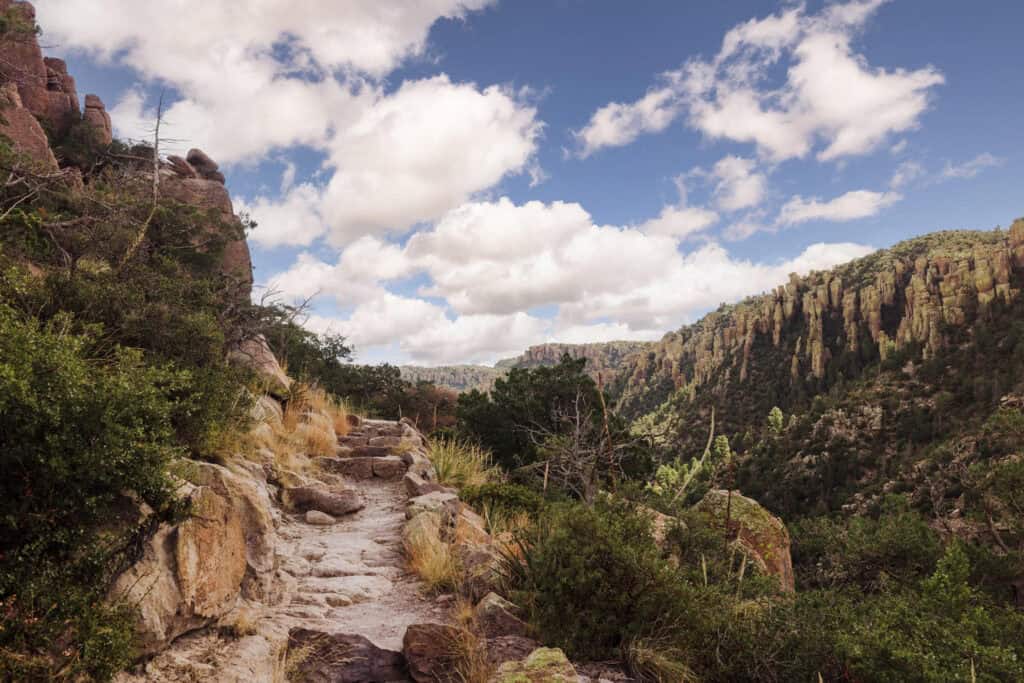 The Echo Canyon Trail at Chiricahua