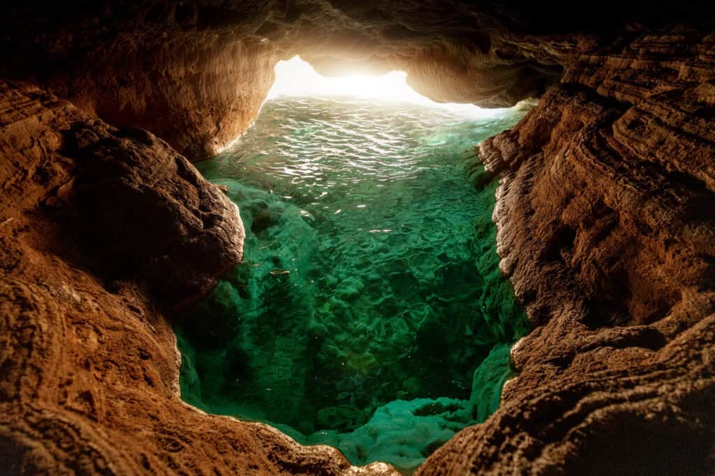 Swimming inside the cove at Fossil Creek