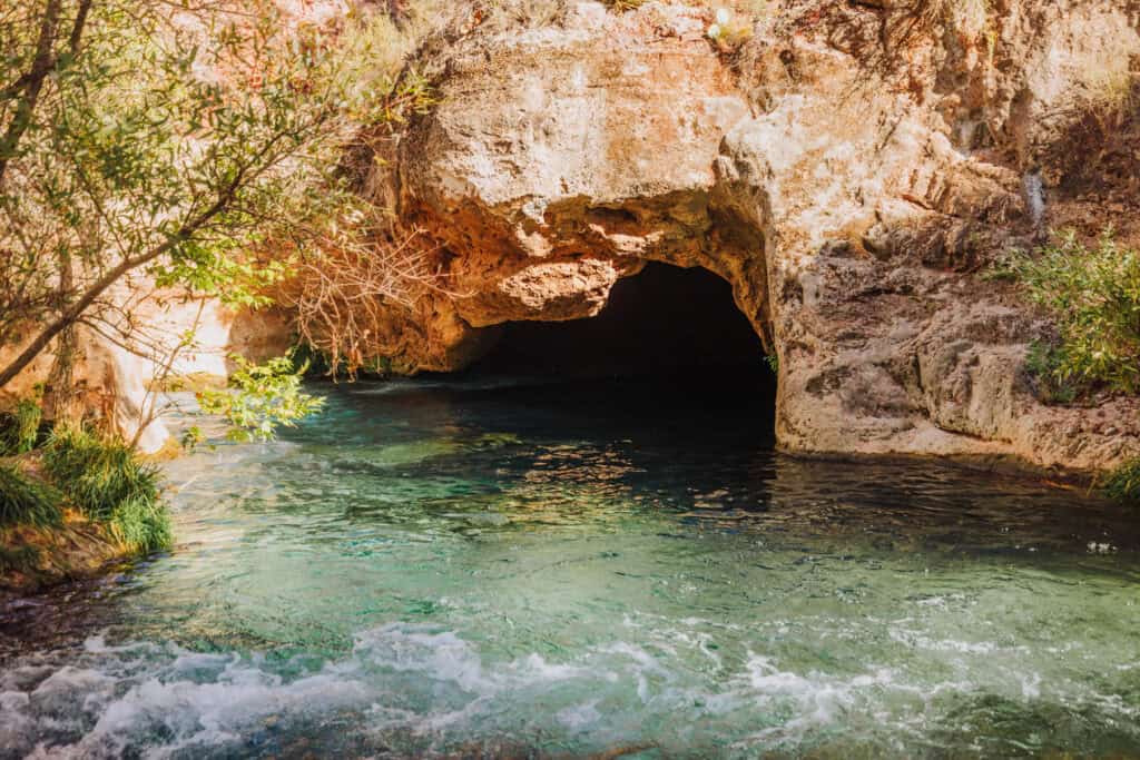 Swimming along Fossil Creek