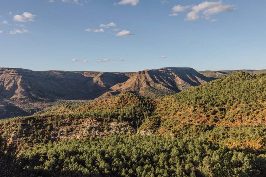 The Coconino National Forest, near Strawberry, Arizona