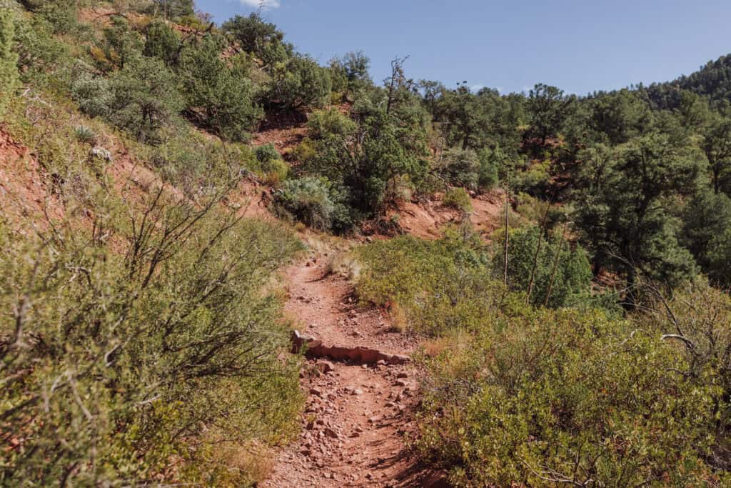 Hiking down the Bob Bear Trail to Fossil Springs