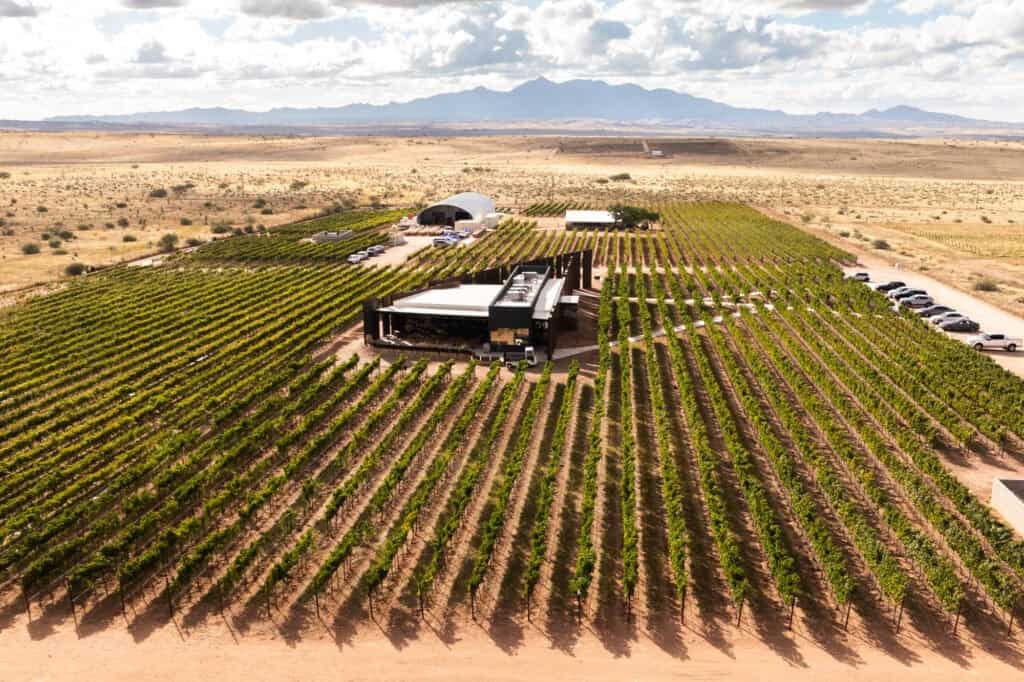 An aerial drone view of Los Milics Vineyards in Arizona Wine Country