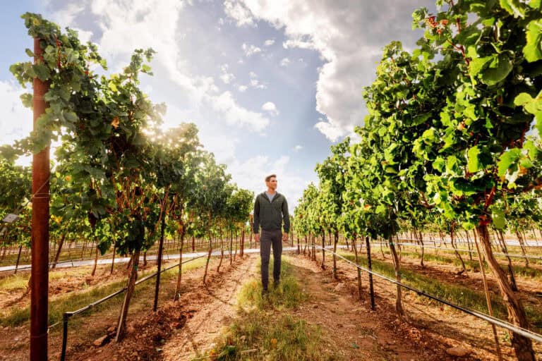 Jared Dillingham, walking through a vineyard in Sonoita, Arizona's wine region