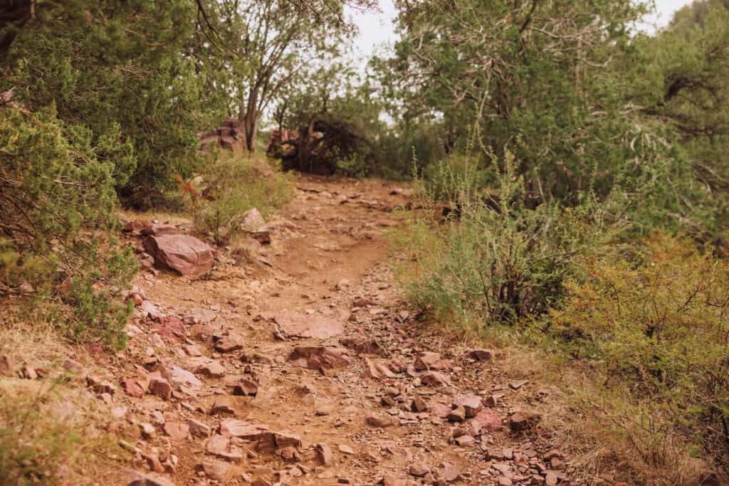 One of the hiking trails which leads under the bridge