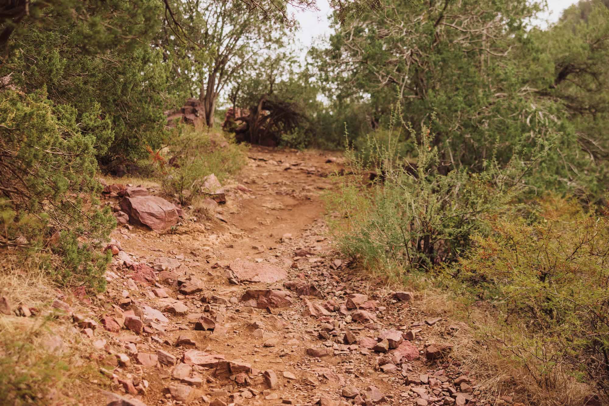 One of the hiking trails which leads under the bridge