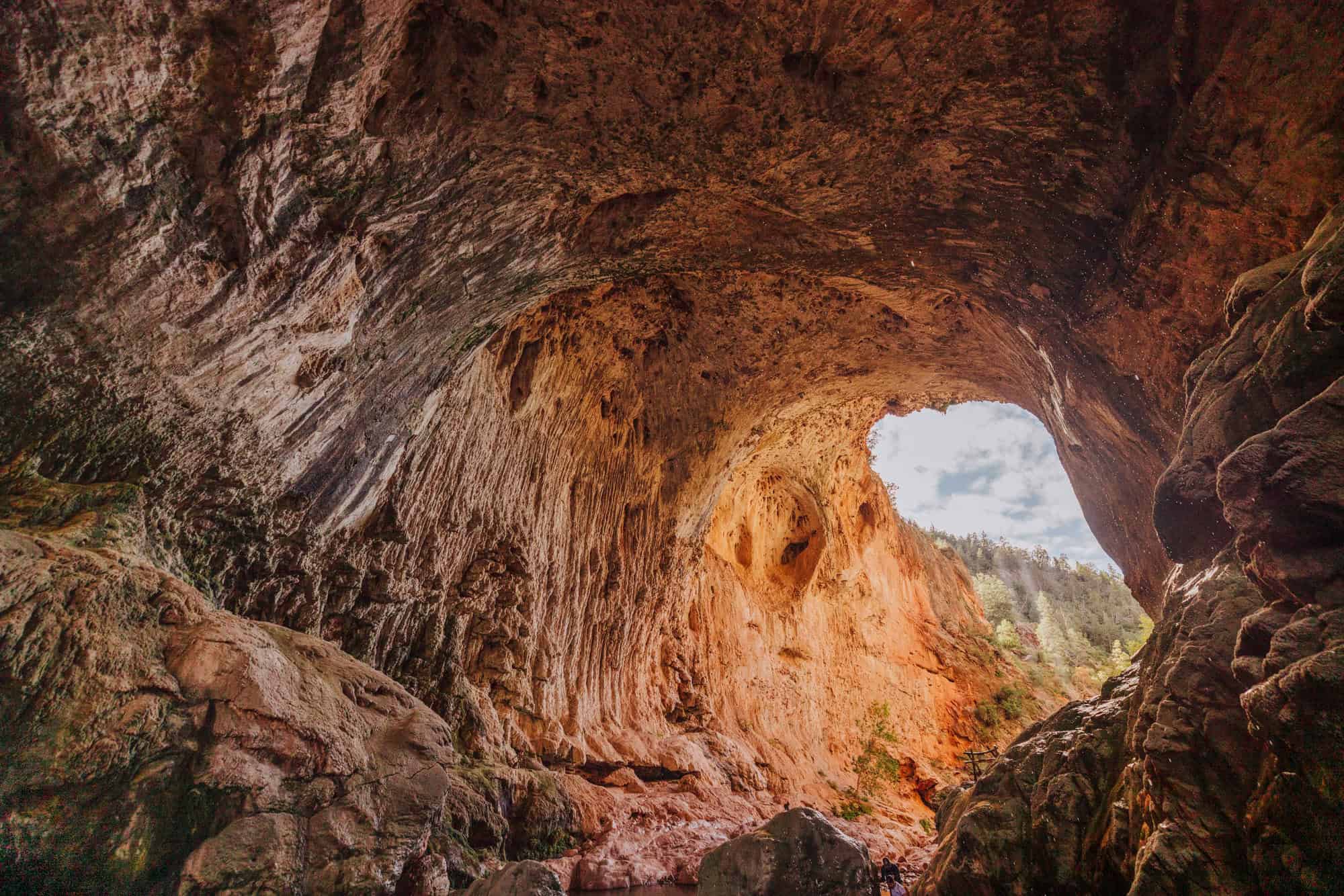 Looking back from the Anna Mae Trail to the Gowan Trail under the bridge