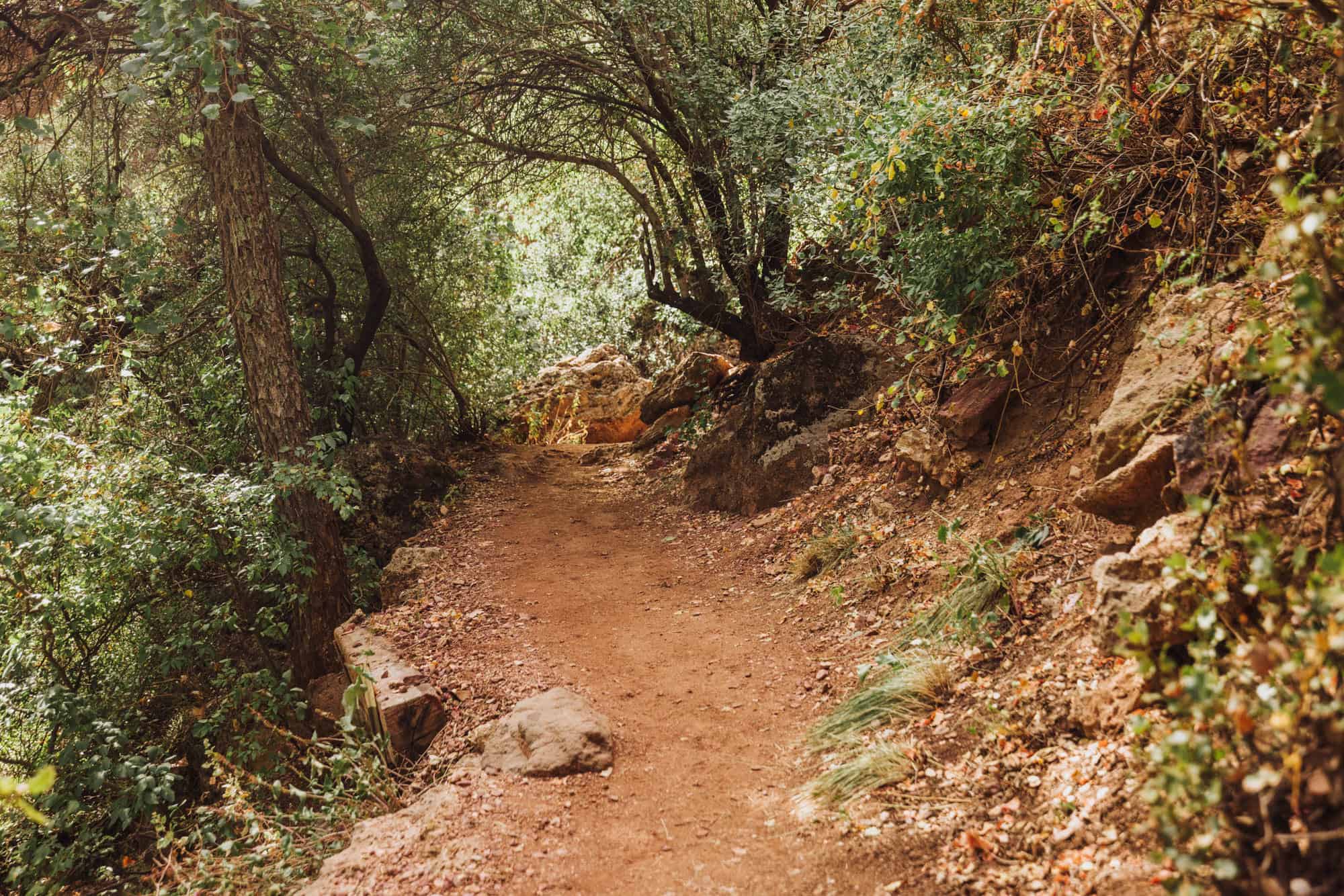 One of the hiking trails at the park