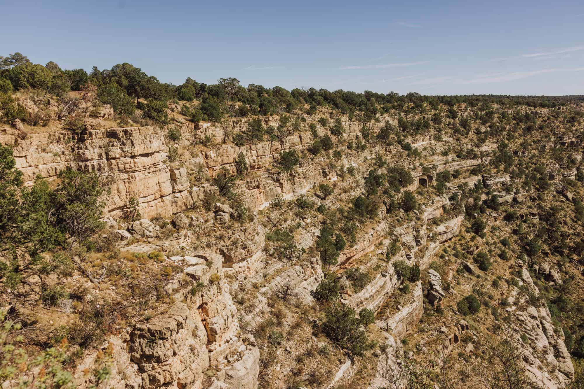 A view of the canyon from the Rim Trail