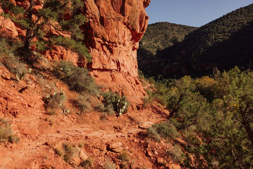Hiking the Bell Trail to Wet Beaver Creek